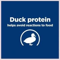 Hill's Prescription Diet d/d Skin/Food Sensitivities Potato & Duck Recipe Dry Dog Food 14 Hill's Prescription Diet d/d Skin/Food Sensitivities Potato & Duck Recipe Dry Dog Food -Outlet Sullivan Supply Store 113452 PT3. SY630 V1647292903