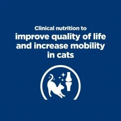 Hill's Prescription Diet k/d Kidney Care + Mobility Care with Chicken Dry Cat Food -Outlet Sullivan Supply Store 122119 PT3. SY630 V1658189823