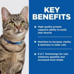 Hill's Prescription Diet k/d Kidney Care + Mobility Care with Chicken Dry Cat Food -Outlet Sullivan Supply Store 122119 PT4. SY630 V1600013472