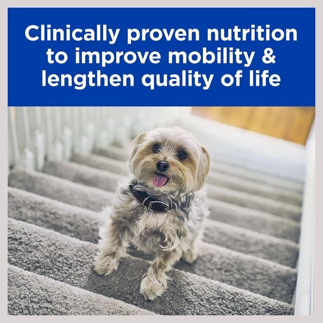 Hill's Prescription Diet k/d + Mobility Kidney Care + Mobility with Chicken Dry Dog Food 7 Hill's Prescription Diet k/d + Mobility Kidney Care + Mobility with Chicken Dry Dog Food - Image 5
