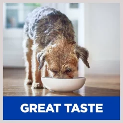 Hill's Prescription Diet Metabolic Chicken Flavor Dry Dog Food -Outlet Sullivan Supply Store 156393 PT4. SY630 V1602286866