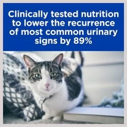 Hill's Prescription Diet c/d Multicare Stress Urinary Care with Chicken Dry Cat Food 15 Hill's Prescription Diet c/d Multicare Stress Urinary Care with Chicken Dry Cat Food -Outlet Sullivan Supply Store 156394 PT5. SY630 V1602324979