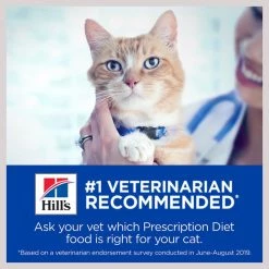 Hill's Prescription Diet Gastrointestinal Biome with Chicken Dry Cat Food -Outlet Sullivan Supply Store 159277 PT5. SY630 V1606814552