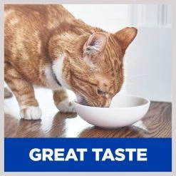 Hill's Prescription Diet Gastrointestinal Biome Chicken & Vegetable Stew Wet Cat Food -Outlet Sullivan Supply Store 159280 PT4. SY630 V1606817228