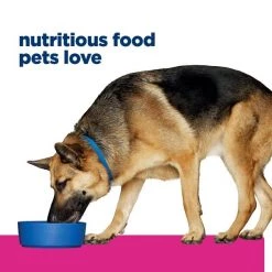 Hill's Prescription Diet Gastrointestinal Biome Chicken & Vegetable Stew Wet Dog Food -Outlet Sullivan Supply Store 250643 PT2. SY630 V1651153644