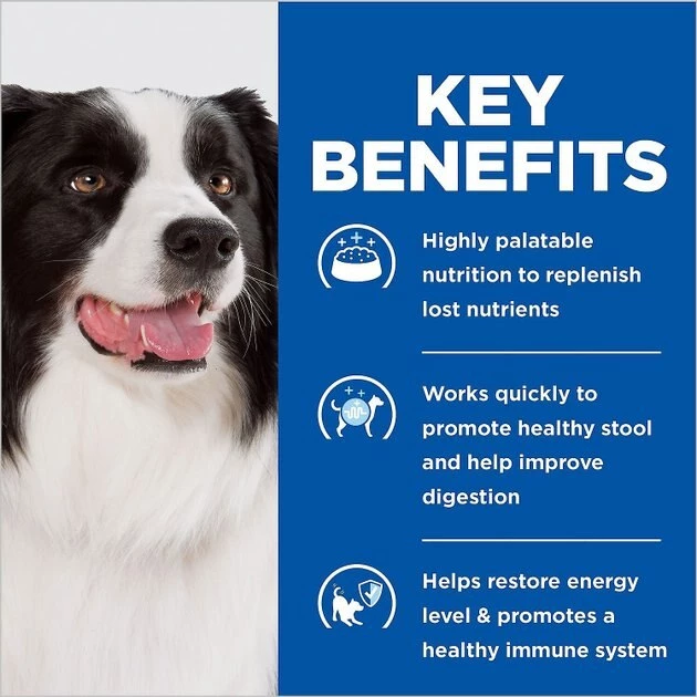 Hill's Prescription Diet||Hill's Prescription Diet Hill's Prescription Diet i/d Digestive Care with Turkey Canned Dog Food, 13-oz & Hill's Prescription Diet i/d Digestive Care Chicken Flavor Dry Dog Food 7 Hill's Prescription Diet||Hill's Prescription Diet Hill's Prescription Diet i/d Digestive Care with Turkey Canned Dog Food, 13-oz & Hill's Prescription Diet i/d Digestive Care Chicken Flavor Dry Dog Food - Image 5