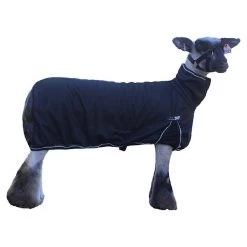 Sullivan Supply Cool Tech Sheep Blanket