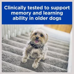 Hill's Prescription Diet b/d Brain Aging Care Chicken Flavor Dry Dog Food -Outlet Sullivan Supply Store 69742 PT5. SY630 V1602325564