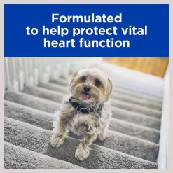 Hill's Prescription Diet h/d Heart Care Chicken Flavor Dry Dog Food -Outlet Sullivan Supply Store 69760 PT5. SY630 V1602335461