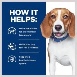 Hill's Prescription Diet r/d Weight Reduction Chicken Flavor Dry Dog Food -Outlet Sullivan Supply Store 69784 PT4. SY630 V1651542985