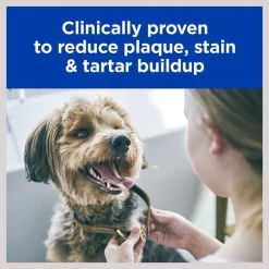 Hill's Prescription Diet t/d Dental Care Small Bites Chicken Flavor Dry Dog Food 15 Hill's Prescription Diet t/d Dental Care Small Bites Chicken Flavor Dry Dog Food -Outlet Sullivan Supply Store 69792 PT4. SY630 V1599184554