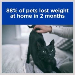 Hill's Prescription Diet Metabolic Chicken Flavor Dry Cat Food -Outlet Sullivan Supply Store 69811 PT5. SY630 V1602316560