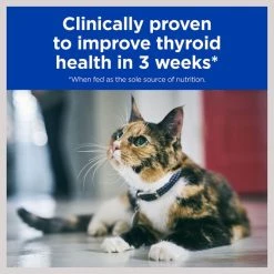 Hill's Prescription Diet y/d Thyroid Care with Chicken Wet Cat Food -Outlet Sullivan Supply Store 69820 PT3. SY630 V1609801947