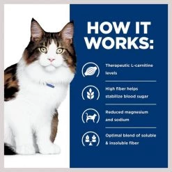 Hill's Prescription Diet w/d Multi-Benefit with Chicken Dry Cat Food -Outlet Sullivan Supply Store 69824 PT5. SY630 V1651672583
