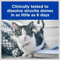 Hill's Prescription Diet s/d Urinary Care Chicken Flavor Dry Cat Food 15 Hill's Prescription Diet s/d Urinary Care Chicken Flavor Dry Cat Food -Outlet Sullivan Supply Store 69830 PT4. SY630 V1599174956