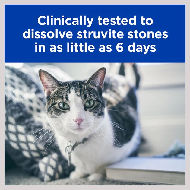 Hill's Prescription Diet s/d Urinary Care Chicken Flavor Dry Cat Food 7 Hill's Prescription Diet s/d Urinary Care Chicken Flavor Dry Cat Food - Image 5