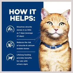 Hill's Prescription Diet c/d Multicare Urinary Care with Ocean Fish Wet Cat Food -Outlet Sullivan Supply Store 69857 PT4. SY630 V1651694784