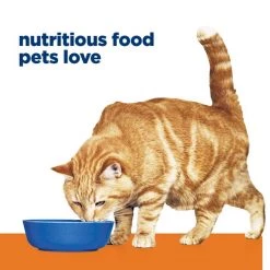 Hill's Prescription Diet c/d Multicare Urinary Care Vegetable, Tuna & Rice Stew Wet Cat Food -Outlet Sullivan Supply Store 80489 PT2. SY630 V1657661030