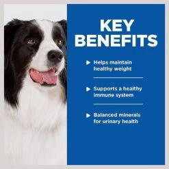 Hill's Prescription Diet w/d Multi-Benefit Vegetable & Chicken Stew Wet Dog Food -Outlet Sullivan Supply Store 90938 PT3. SY630 V1609804342