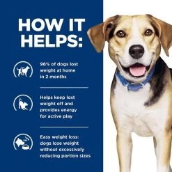 Hill's Prescription Diet Metabolic Lamb Meal & Rice Dry Dog Food 15 Hill's Prescription Diet Metabolic Lamb Meal & Rice Dry Dog Food -Outlet Sullivan Supply Store 92898 PT4. SY630 V1651202203