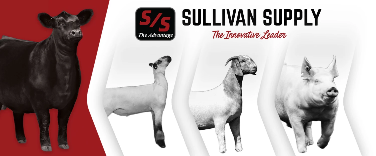 Outlet Sullivan Supply Store 1 Outlet Sullivan Supply Store -Outlet Sullivan Supply Store q77